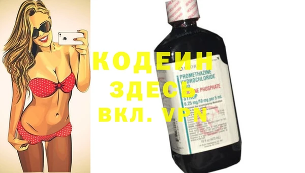 хмурый Верея