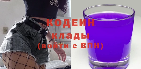 хмурый Верея