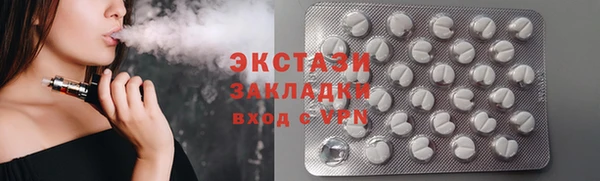 хмурый Верея