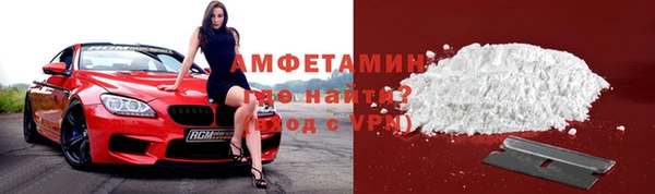хмурый Верея