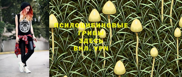 хмурый Верея