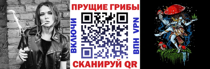 Галлюциногенные грибы Magic Shrooms  Городовиковск 
